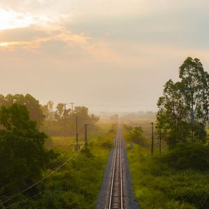 A tranquil landscape with early morning fog.